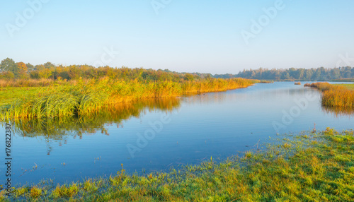 Shore of a lake at sunrise in autumn