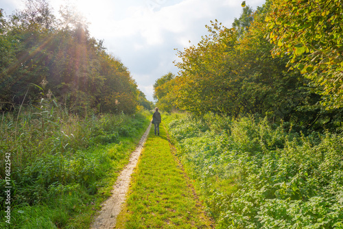 Path through a field along trees in sunlight at fall