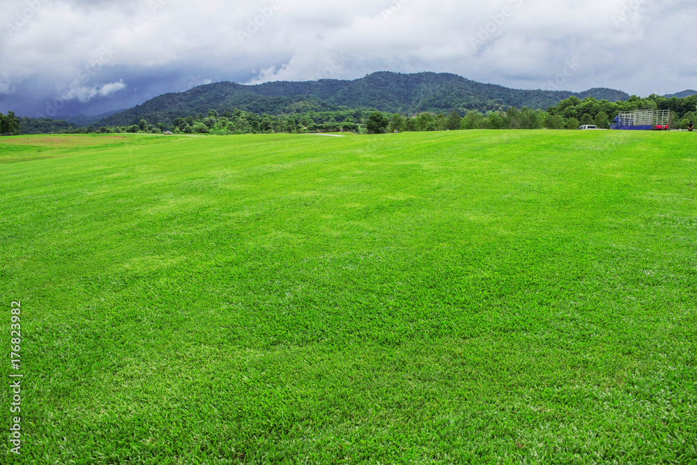 Lawn with sky background. Lawn with sky background.