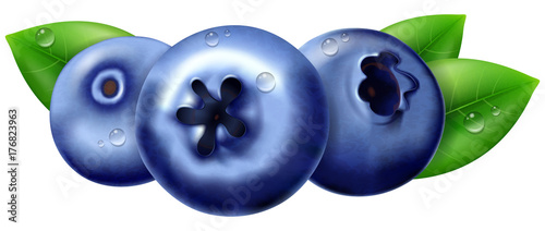 Ripe blueberry with leaves. Vector illustration.