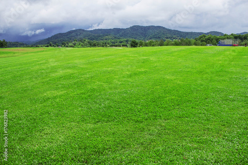 Lawn with sky background. © RK1919