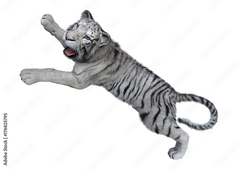 Obraz premium 3D Rendering White Tiger on White
