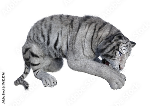 Fototapeta Naklejka Na Ścianę i Meble -  3D Rendering White Tiger on White