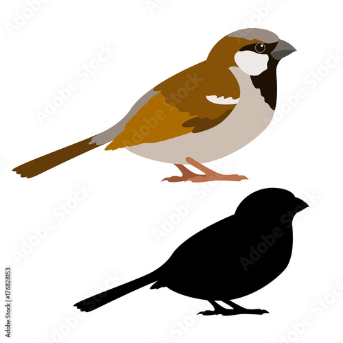 sparrow vector illustration style flat black silhouette photo