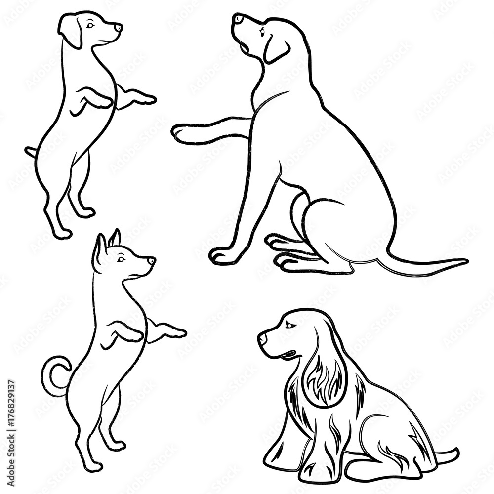 Obraz premium Set of four dogs