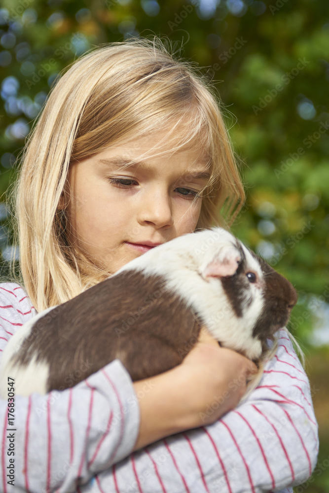 Portrait of Child blond girl playing with guinea pig outside in the garden Portrait of Child blond girl playing with guinea pig outside in the garden