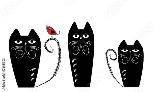 Gatos negros y pájaro.