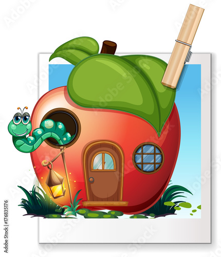Worm living in apple house