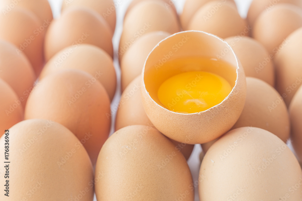 egg egg
