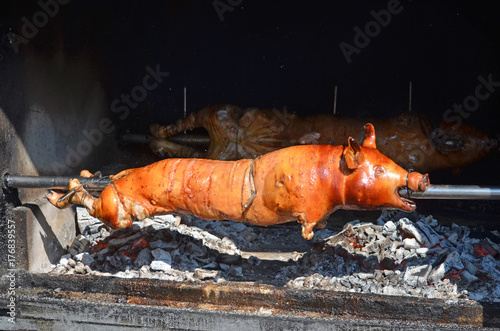 grilled pig. roasted pork