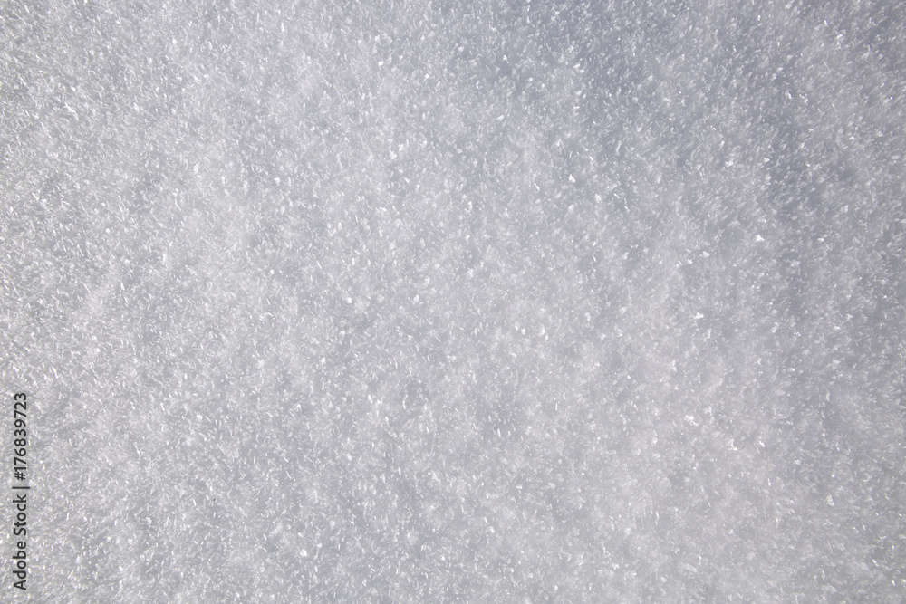 Macro shot from Snow. Macro shot from Snow.