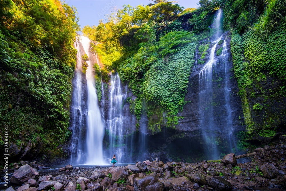 Fototapeta premium Lemukih Waterfall - Bali, Indonesia.