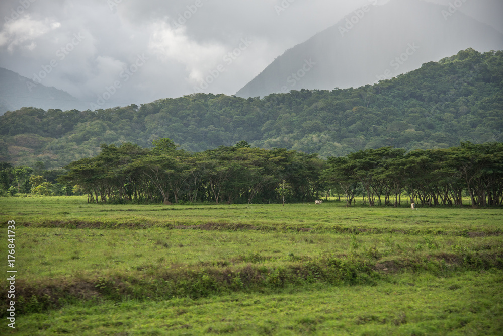 Beautiful landscape of a field in the background of a forest and mountains above a blue sky Beautiful landscape of a field in the background of a forest and mountains above a blue sky