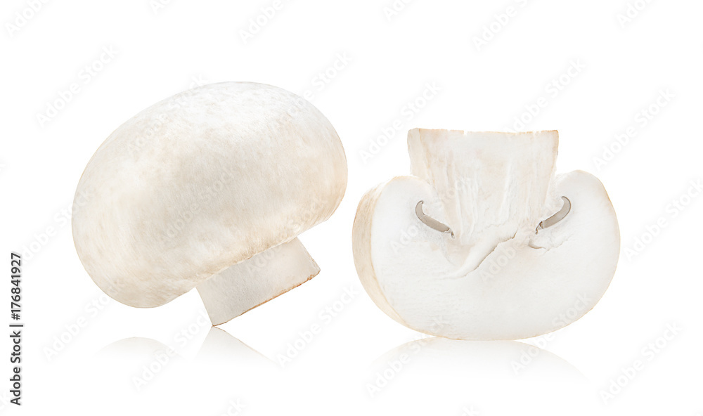 Mushroom champignon isolated on white background Mushroom champignon isolated on white background