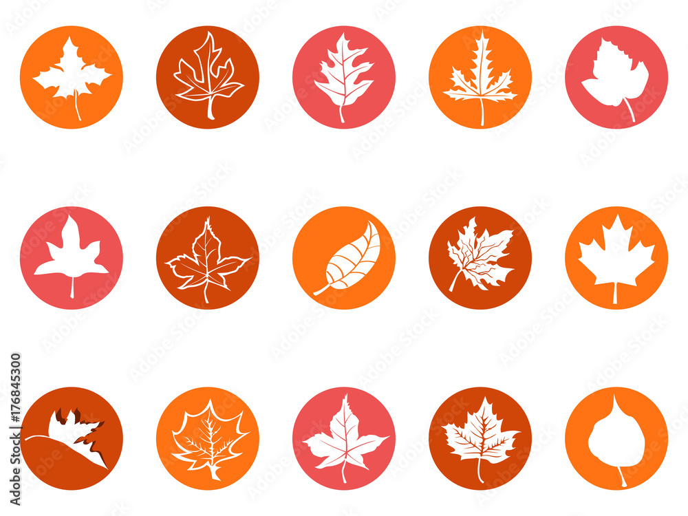 maple leaf round button icons