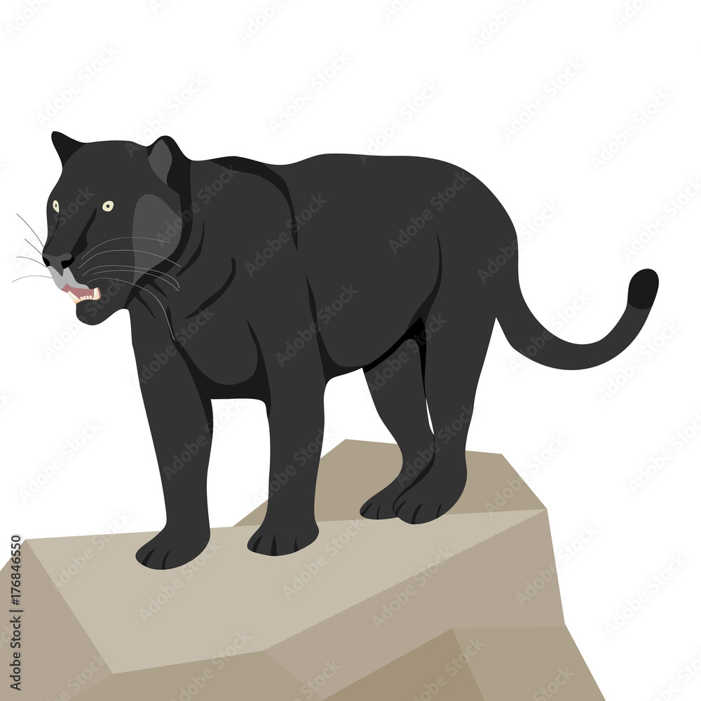Panther on stone, a predator. Panther icon