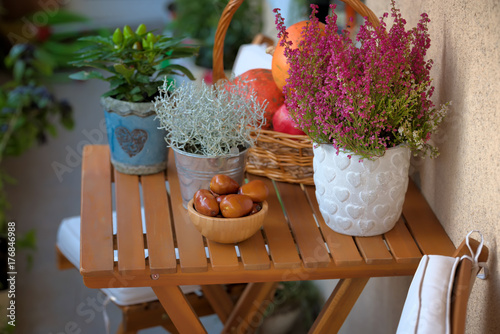 Autumn decoration for city terrace. Beautiful plants -Erica, Chilli Cordara,Calocephalus a basket of pumpkin and a delicious jujubes . Autumn mood at home. photo