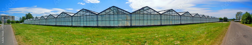 Panoramic view of greenhouses and gardening