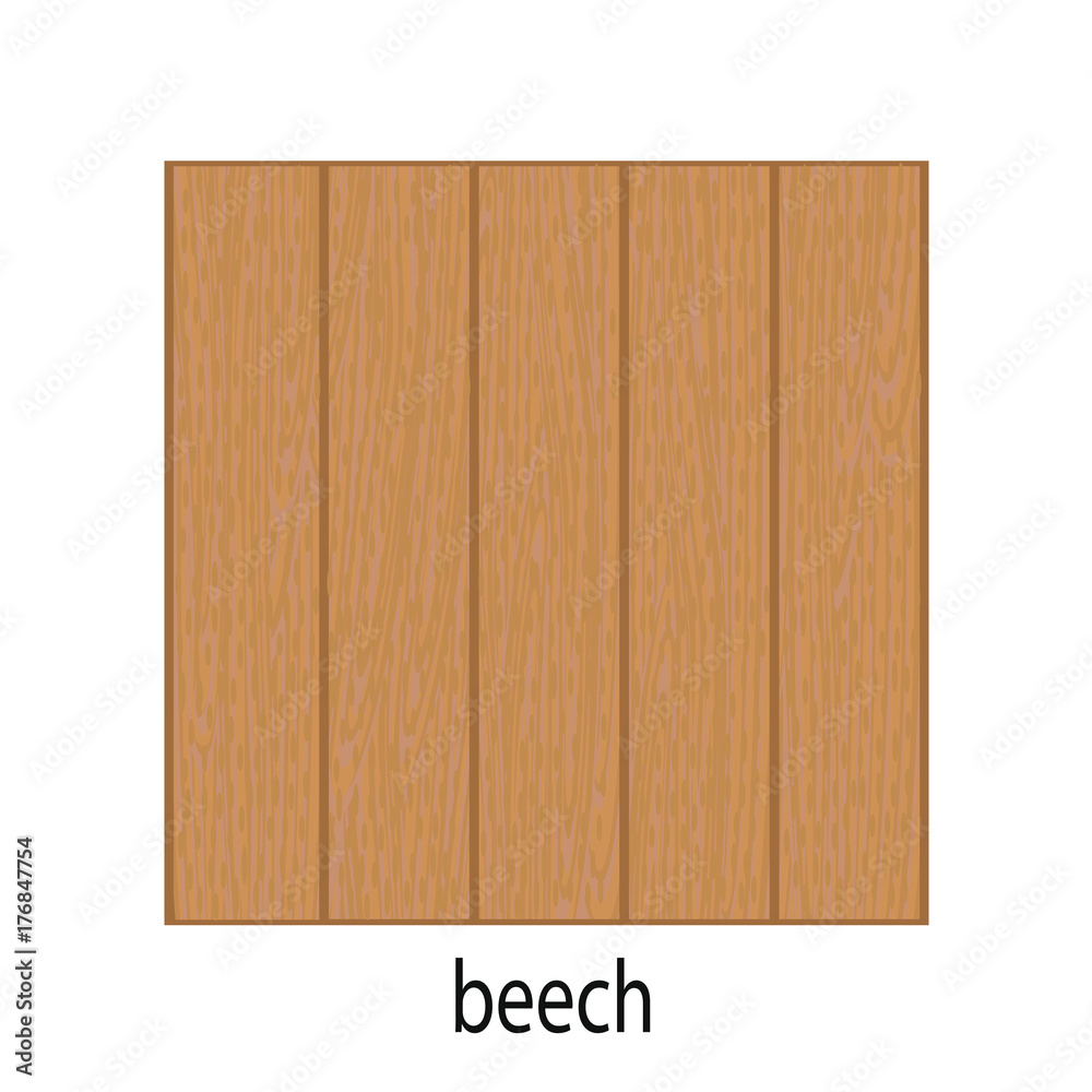 beech, beech wood, Board