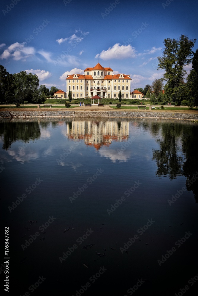 Castle with red roofs by the water surface Castle with red roofs by the water surface