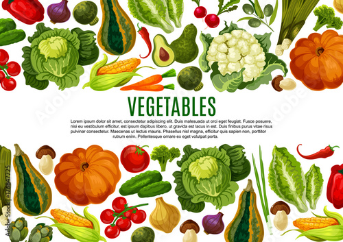 Vegetable and mushroom border banner design