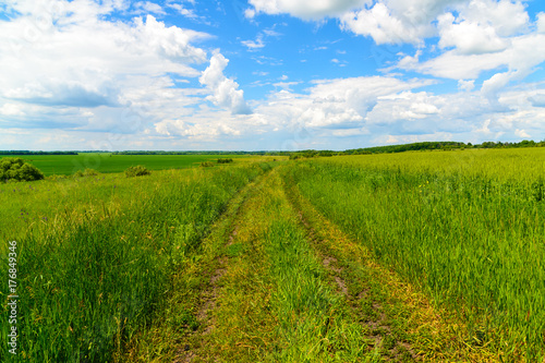 Country road among green grass in Russia