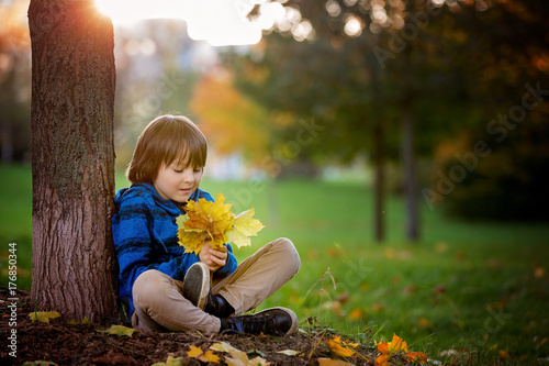 Beautiful autumn portrait of young preschool boy in the park