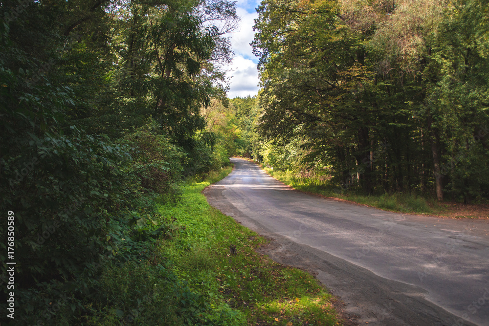 Autumn landscape. Forest road on a sunny day. Autumn landscape. Forest road on a sunny day.