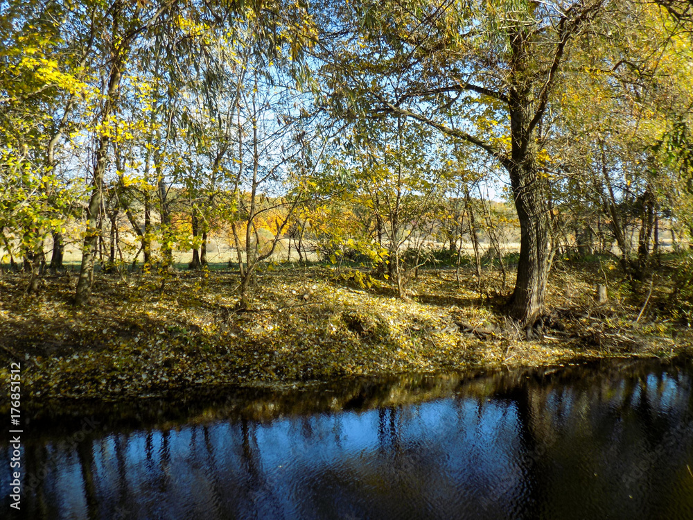 Autumn landscape