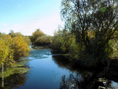Autumn landscape