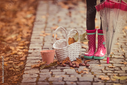 Fototapeta Naklejka Na Ścianę i Meble -  Little girl standing with chestnuts, basket and leafs. Autumn theme.