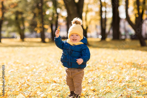  happy little boy in the sun in autumn, in the foliage and yellow cute hat holding a leaf of a tree