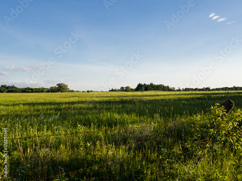 Fields in Canada 2