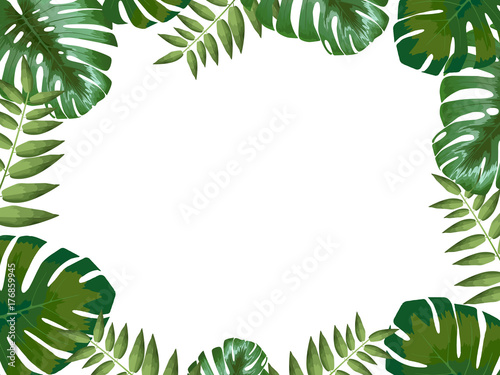 Tropical background with leaves with space for your design  monstera flower  vector illustration