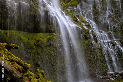 Proxy Falls Closeup