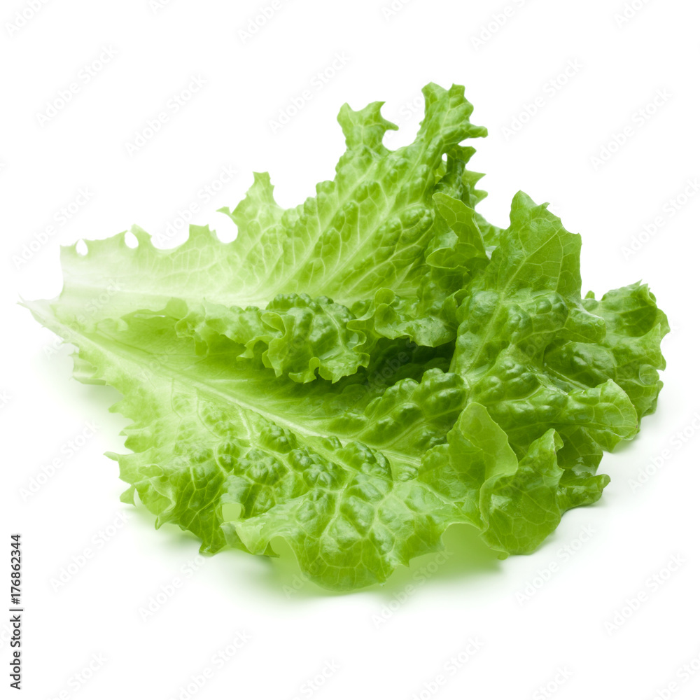 fresh green lettuce salad leaves isolated on white background fresh green lettuce salad leaves isolated on white background