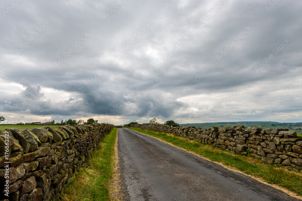 Fototapeta premium Country road