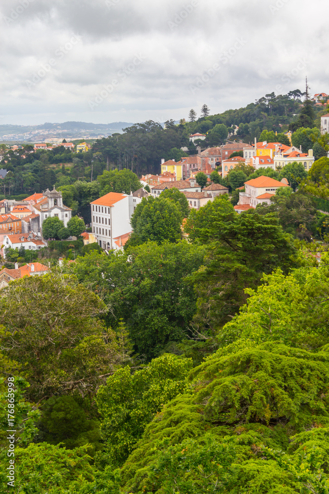 Sintra City View