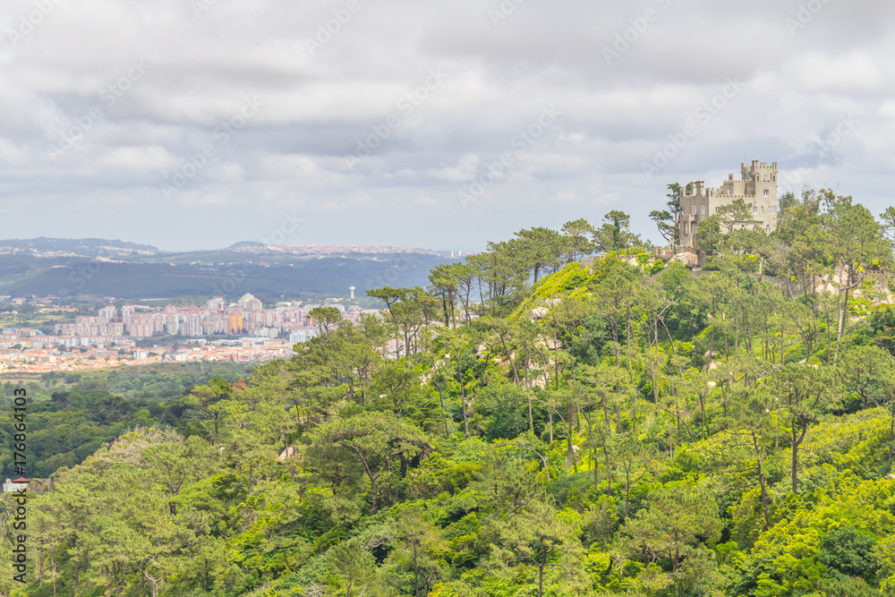 Castle tower and Sintra City View