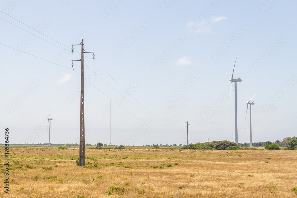 Wind farm, forest and meadow in Aljezur
