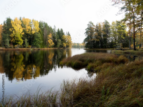 Swedish natural salmon area in autumn. Farnebofjarden national park.