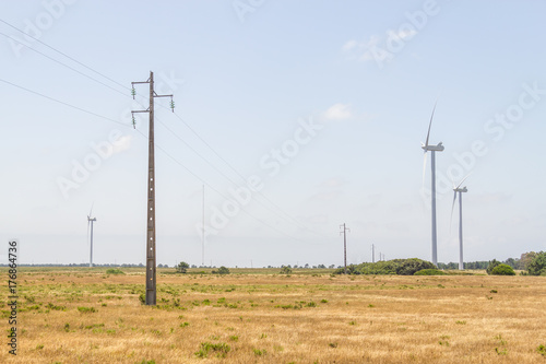 Wind farm, forest and meadow in Aljezur
