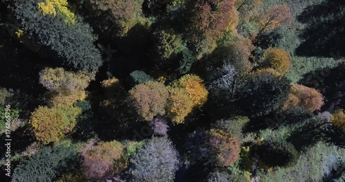 Aerial top view over autumn trees photo