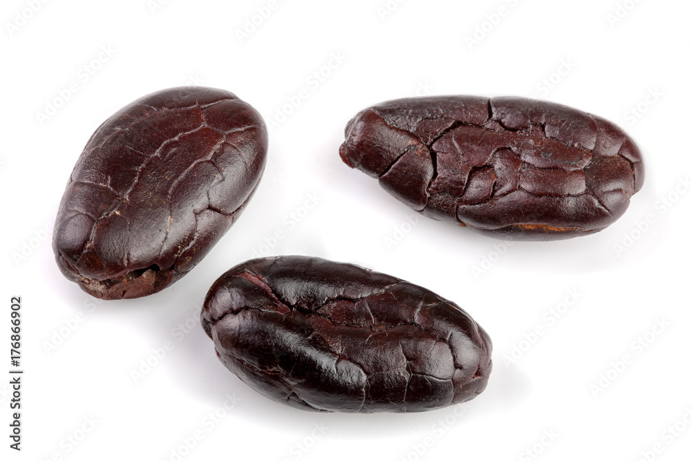 cocoa bean isolated on white background macro cocoa bean isolated on white background macro