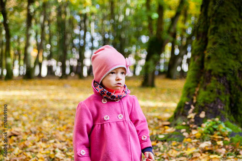 happy little child, baby girl laughing and playing in the park at autumn on the nature walk outdoors happy little child, baby girl laughing and playing in the park at autumn on the nature walk outdoors