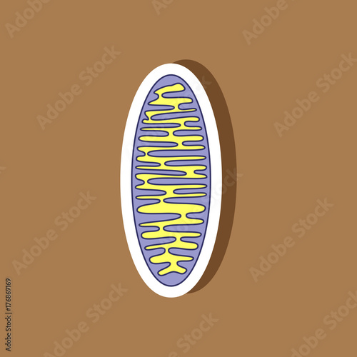 mitochondrion paper sticker on stylish background