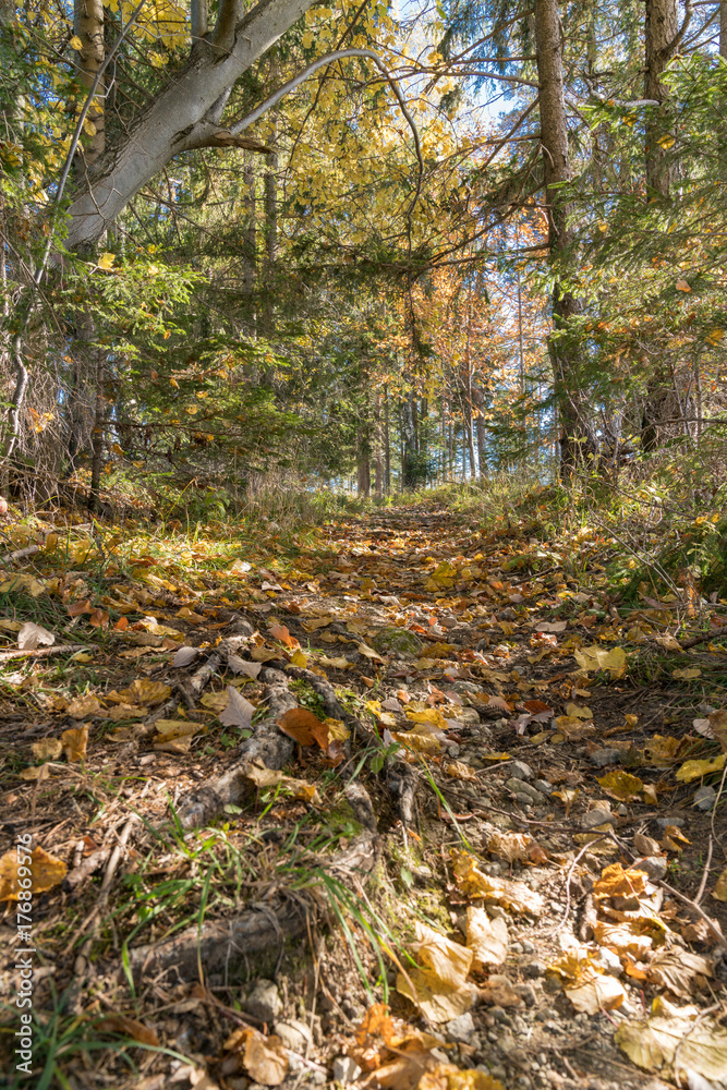 Goldener Herbst Goldener Herbst
