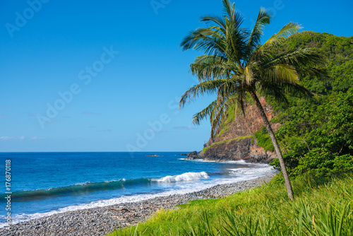 Shore at south coast of Maui Hawaii © Alexander Demyanenko