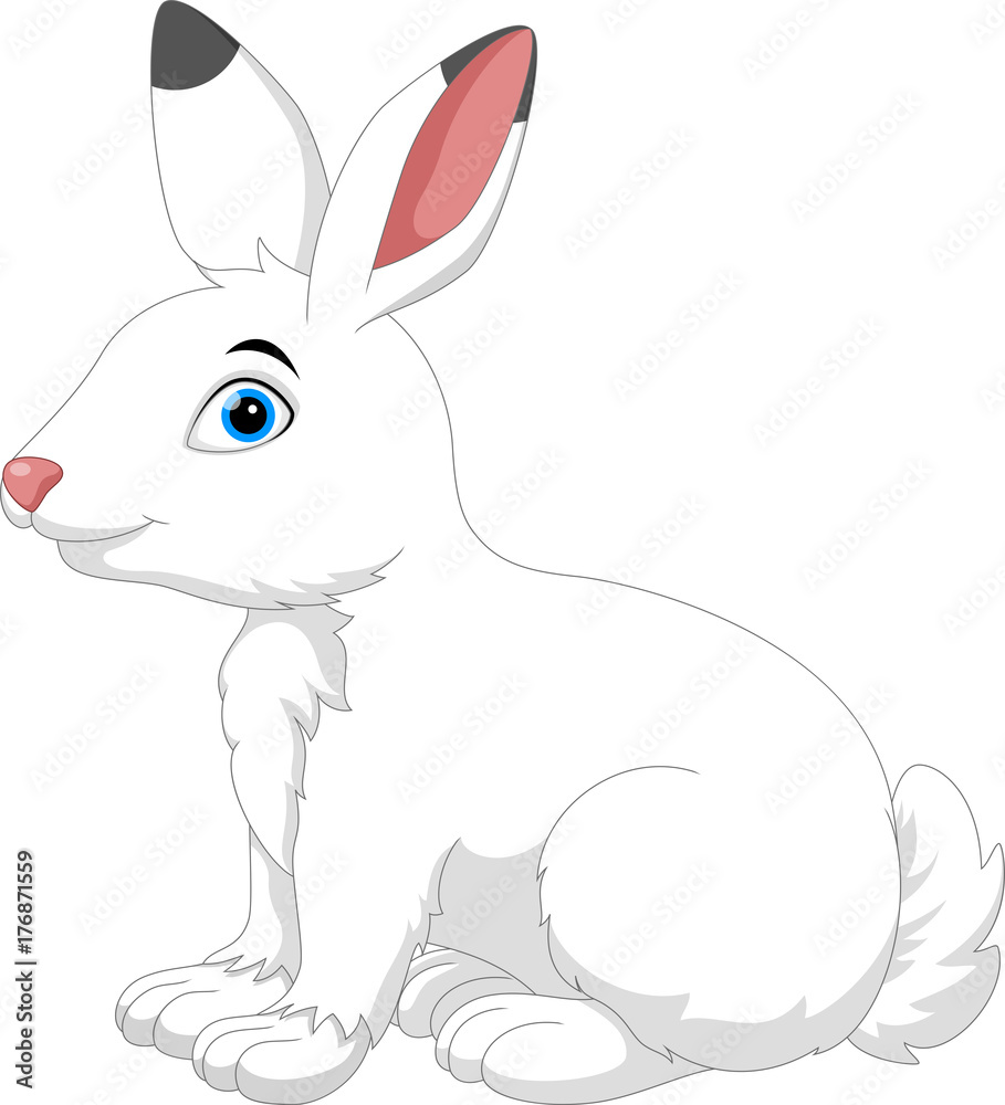 arctic hare coloring pages