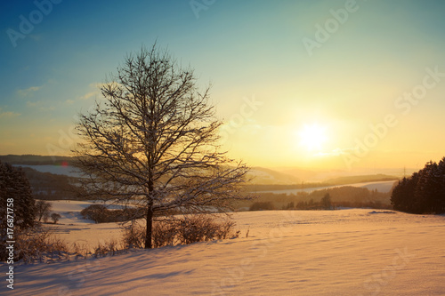 Winter sunset landscape with tree.